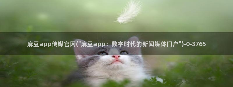 麻豆视频 在线看合集：麻豆app传媒官网(\