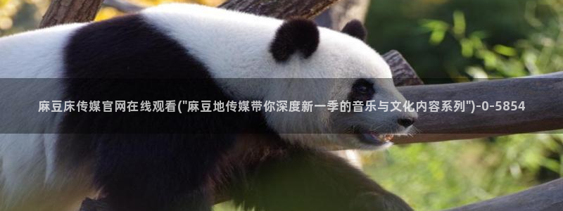 麻豆推荐：麻豆床传媒官网在线观看(\