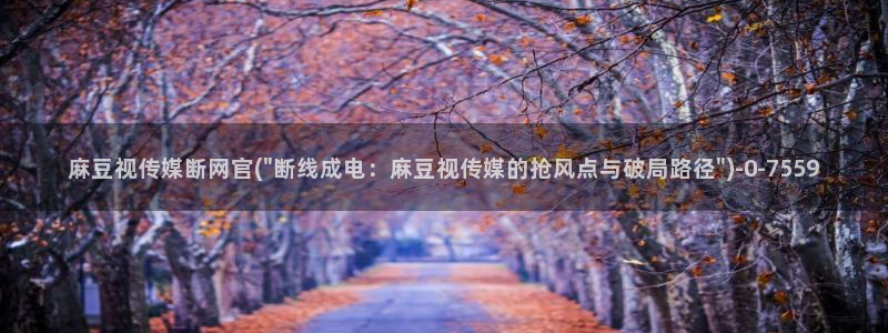 麻豆 精选导航：麻豆视传媒断网官(\