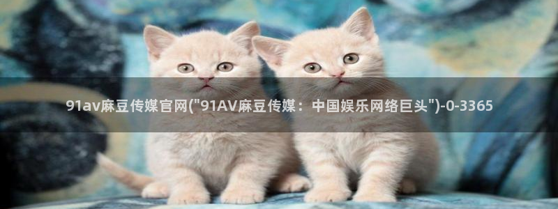 麻豆视频 短片导航：91av麻豆传媒官网(\