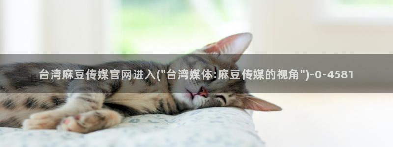 麻豆视频 精选更新：台湾麻豆传媒官网进入(\