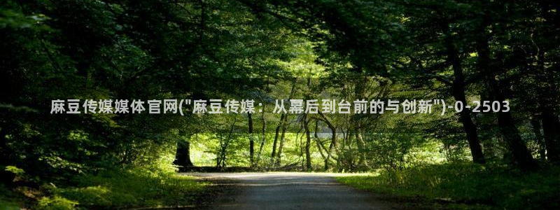麻豆视频精选更新：麻豆传媒媒体官网(\