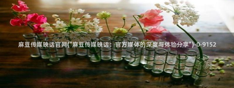 麻豆视频 短片导航：麻豆传媒映话官网(\