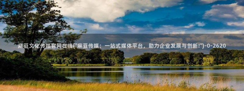 麻豆精选合集：麻豆文化传媒官网在线(\