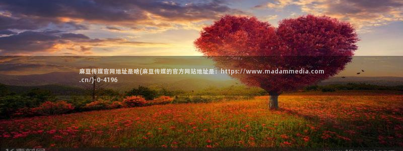 麻豆视频合集视频：麻豆传媒官网地址是啥(麻豆传媒的官