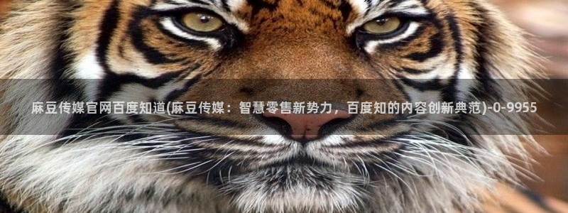 麻豆视频 官方专区：麻豆传媒官网百度知道(麻豆传媒：