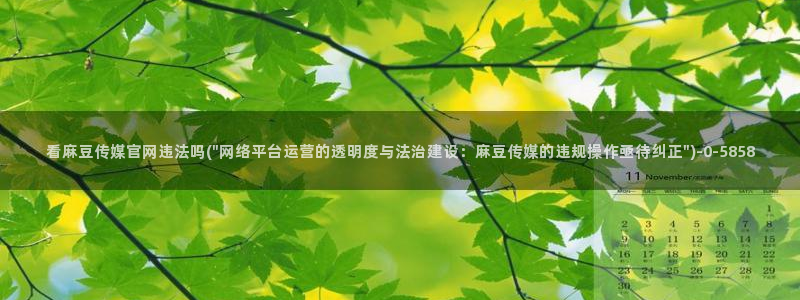 麻豆视频 更新合集