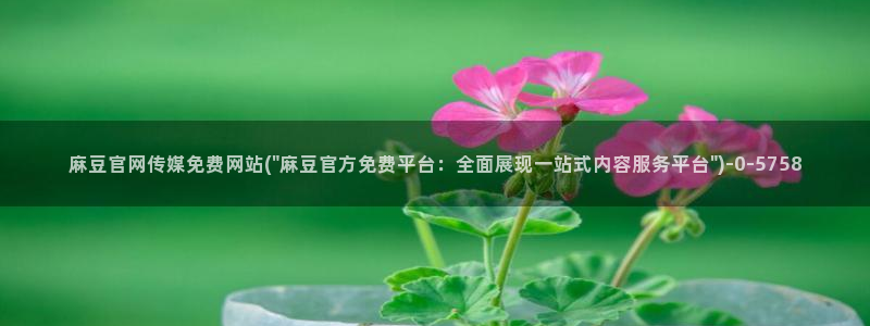 麻豆 高清整理