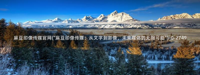 麻豆视频 最新资源