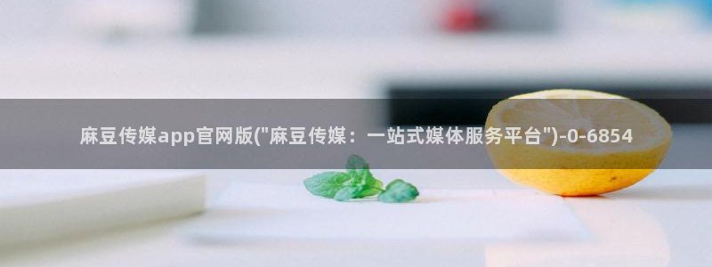 麻豆视频系列高清