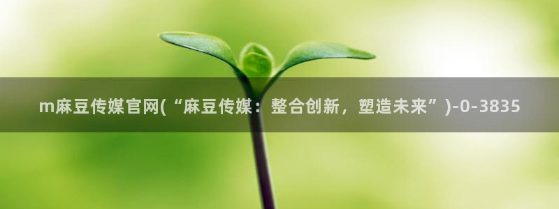 麻豆视频下载