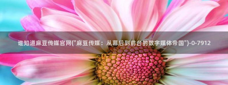 麻豆官方合集
