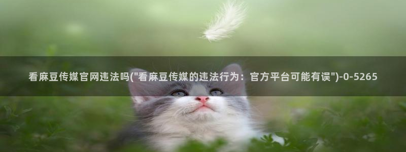 麻豆视频 内容视频：看麻豆传媒官网违法吗(\