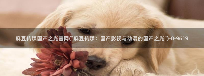 麻豆 在线看视频