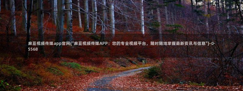 麻豆视频 资源下载：麻豆视频传媒app官网(\