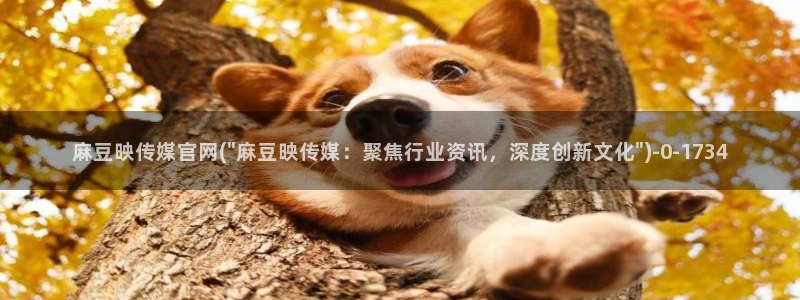 麻豆合集入口