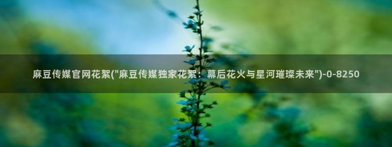 麻豆 合集高清