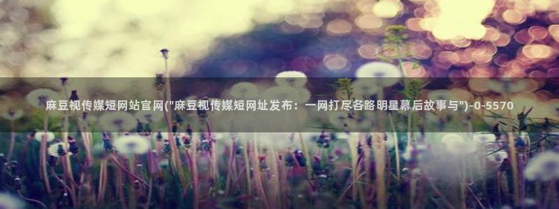 麻豆完整版推荐