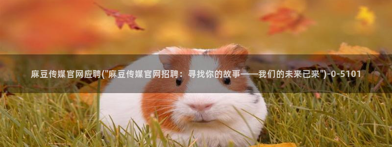 麻豆视频 图集推荐