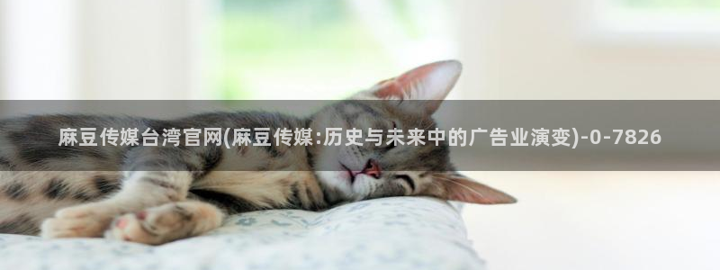 麻豆视频图集导航：麻豆传媒台湾官网(麻豆传媒:历史与未来中的广告业演变)