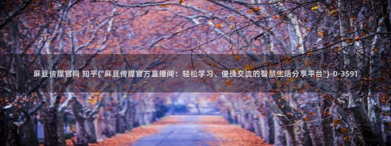 麻豆 完整版合集