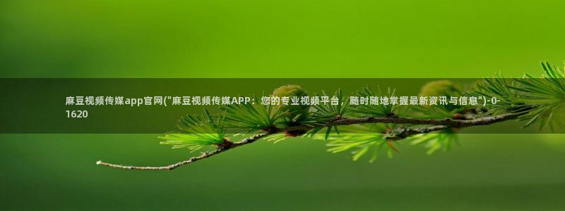 麻豆视频资源视频