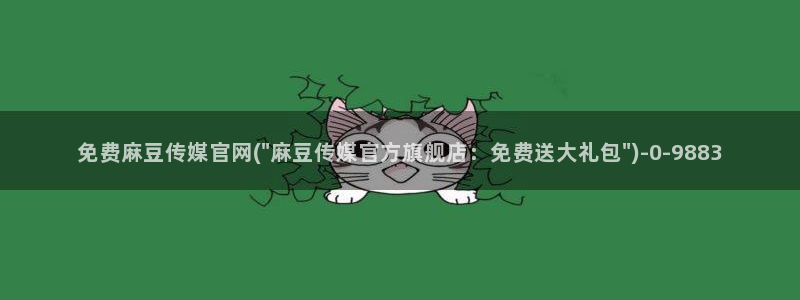 麻豆视频站页面