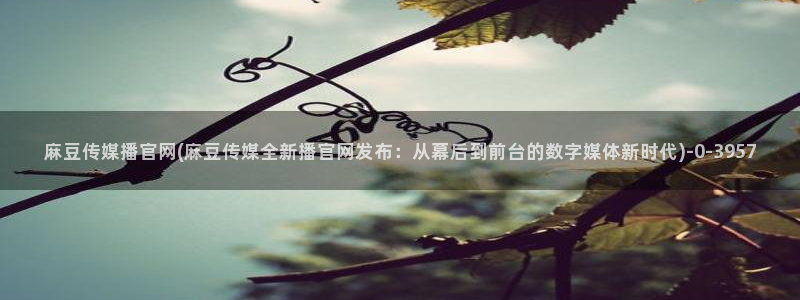 麻豆视频 资源整理：麻豆传媒播官网(麻豆传媒全新