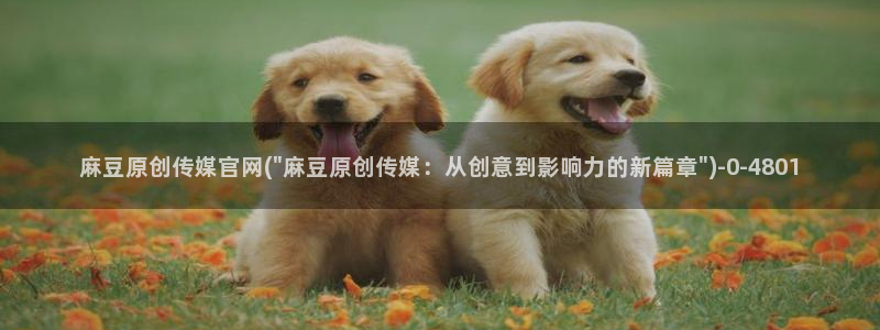 麻豆视频 热门专区